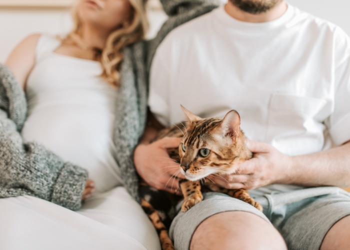 Image d'un chat confortablement niché entre un couple, symbolisant l'affection et le bonheur partagés que les animaux de compagnie peuvent apporter aux relations.