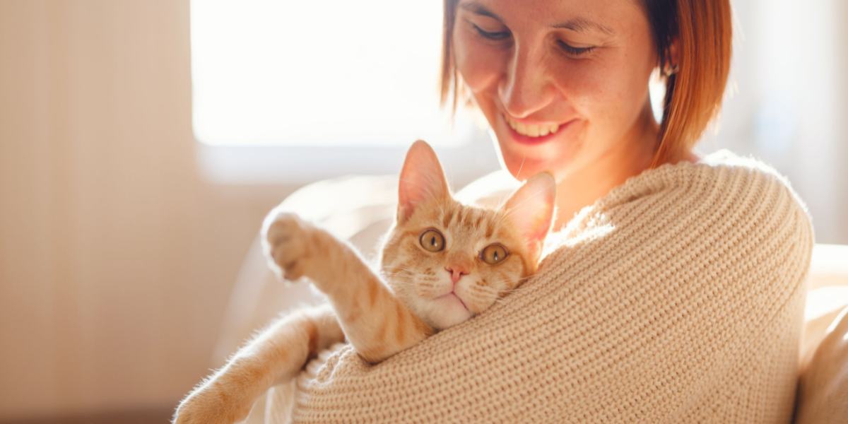 Dresser un chat qui ne semble pas écouter peut être un défi, mais ce n’est pas impossible.