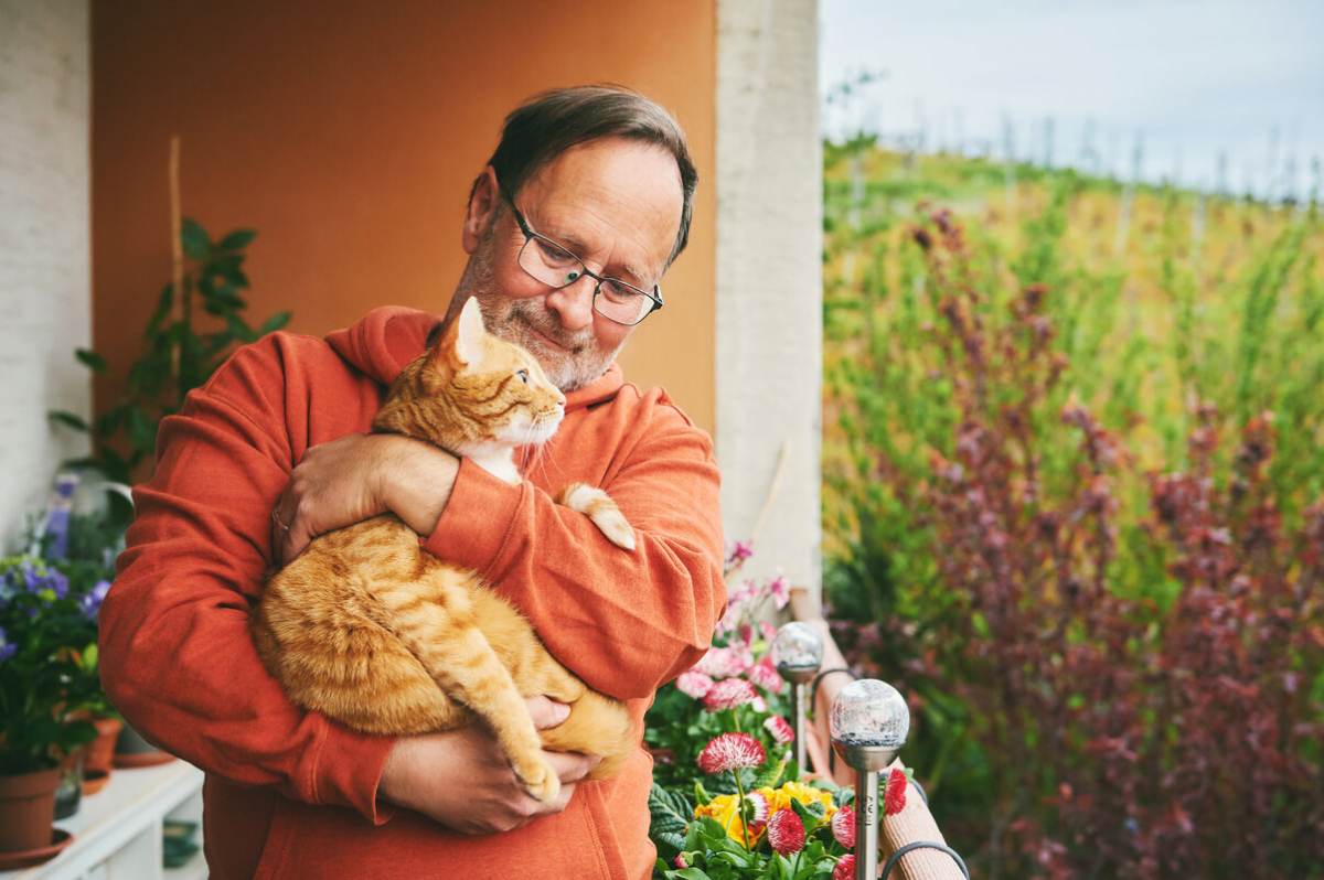 Photo d'un mari avec un chat dans ses bras, illustrant une démonstration réconfortante de camaraderie et d'attention entre un propriétaire d'animal de compagnie et son ami félin.