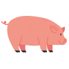 Porc