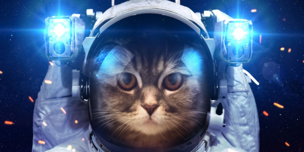 150 meilleurs noms spatiaux pour chats