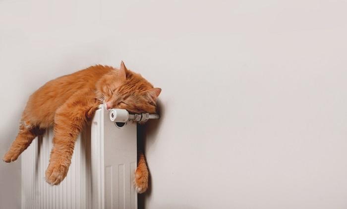 Une image d'un chat roux dormant paisiblement sur un radiateur chaud, illustrant son confort et sa relaxation.