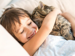 Photo of a cat affectionately licking the hair of its owner, showcasing a charming and intimate moment of bonding between a cat and its human.