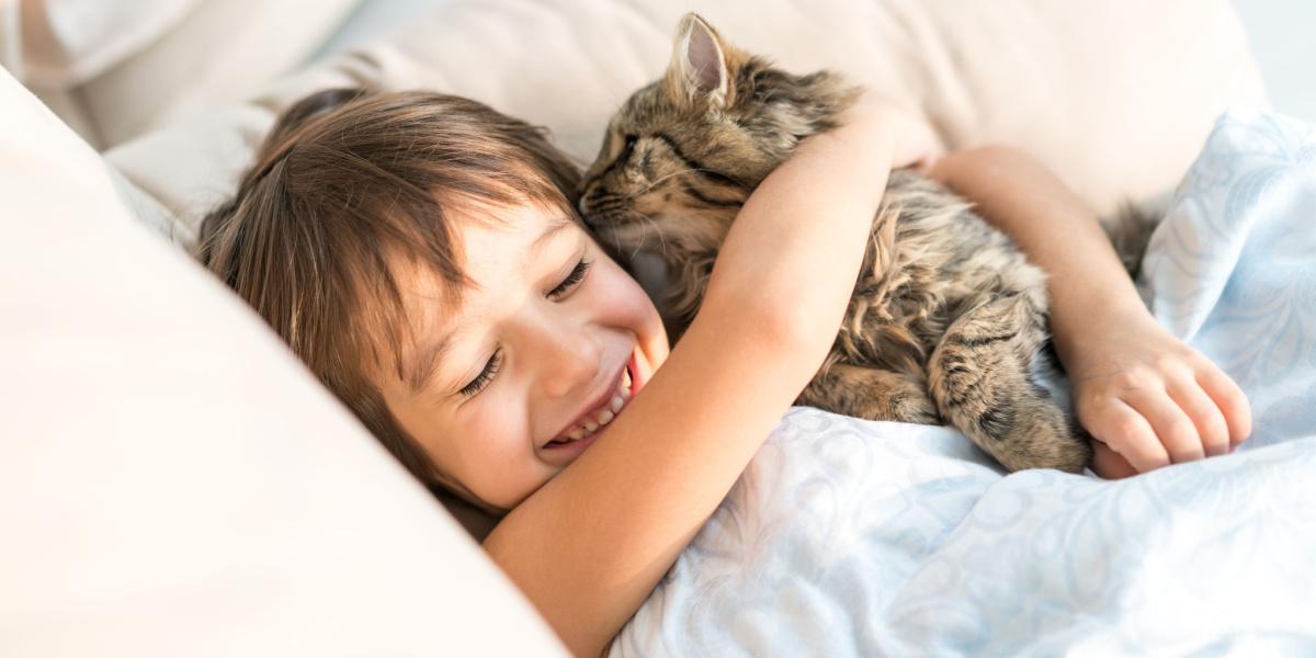 Photo d'un chat léchant affectueusement les cheveux de son propriétaire, mettant en valeur un moment charmant et intime de lien entre un chat et son humain.