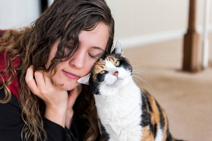 L'image dépeint un moment réconfortant où un chat se frotte contre le visage d'une femme.