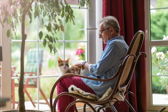 Un chat âgé se reposant sur les genoux d'une personne, partageant un moment tendre qui illustre la compagnie apaisante entre les chats et leurs soignants humains.