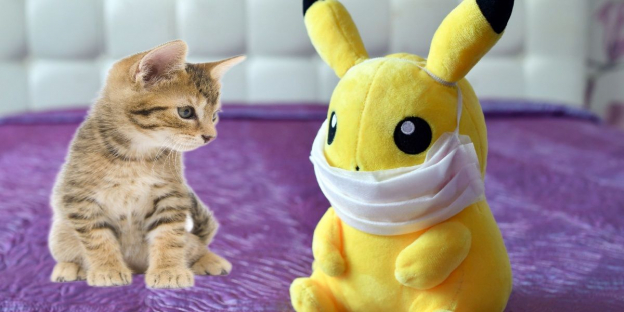 150 noms mignons de Pokémon pour chats avec leur signification