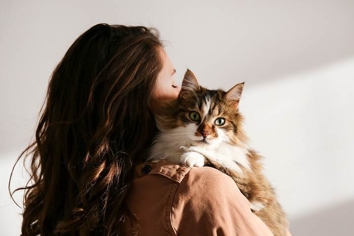 L'image capture un moment émouvant d'une femme serrant tendrement son chat dans ses bras.