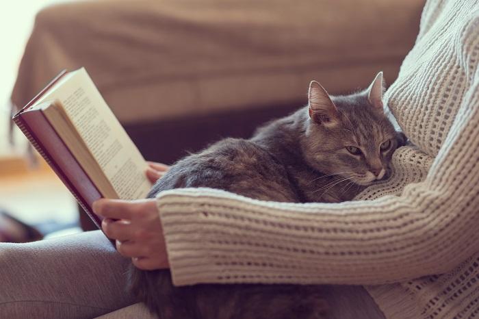 une femme lit un livre et un chat est assis sur ses genoux