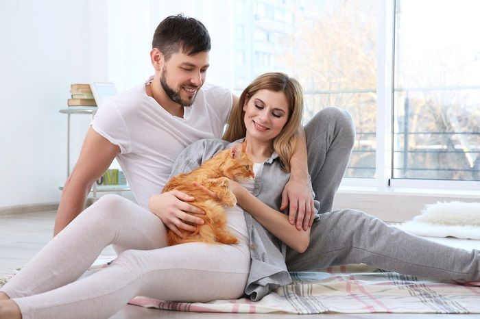 Image présentant une connexion réconfortante entre un chat et un couple, symbolisant l'affection, le réconfort et la joie partagés que les animaux de compagnie peuvent apporter à un partenariat.