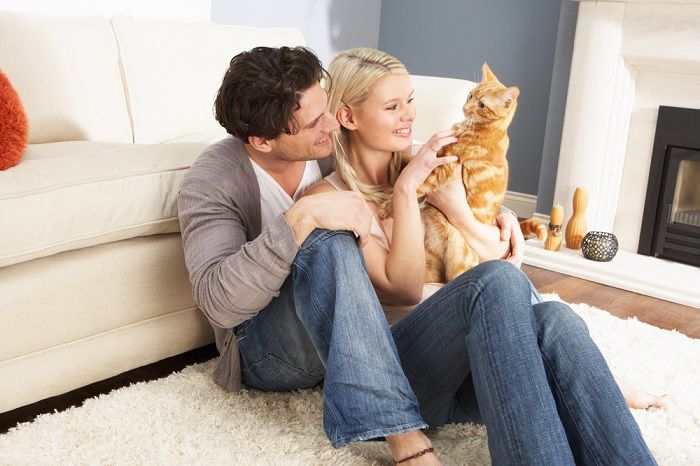 Instantané d'un chat confortablement niché au milieu d'un couple, incarnant l'amour, la chaleur et la convivialité que les animaux de compagnie apportent aux relations.