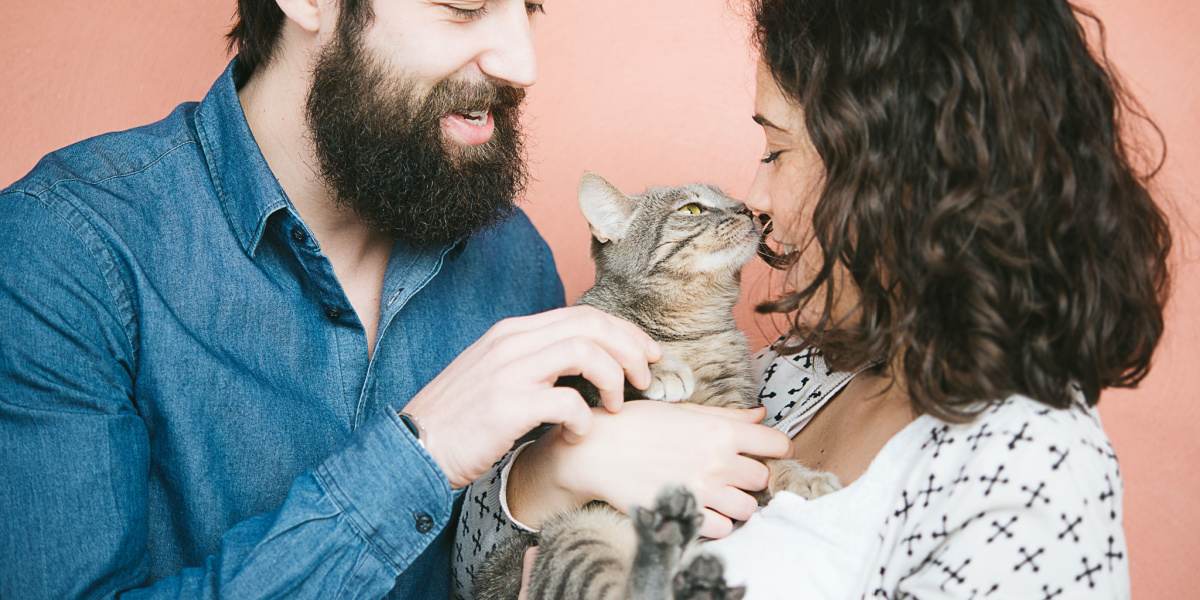 Image attachante capturant un chat et un couple amoureux ensemble, illustrant la compagnie harmonieuse et le bonheur que les animaux de compagnie peuvent ajouter à une relation.