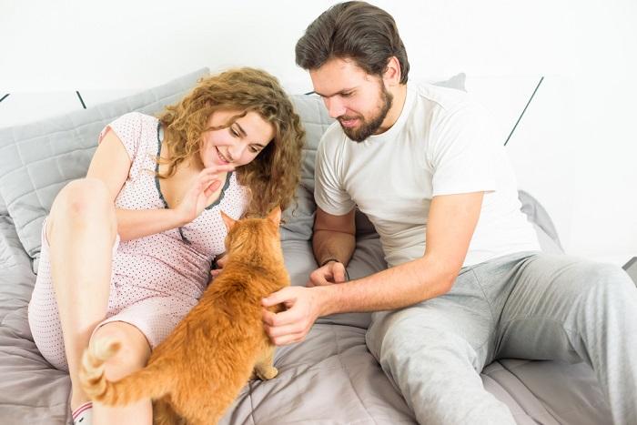 Une image capturant un moment réconfortant entre un chat et un couple, mettant en valeur le lien fort et l'affection partagés entre eux alors qu'ils interagissent et apprécient la compagnie de l'autre.