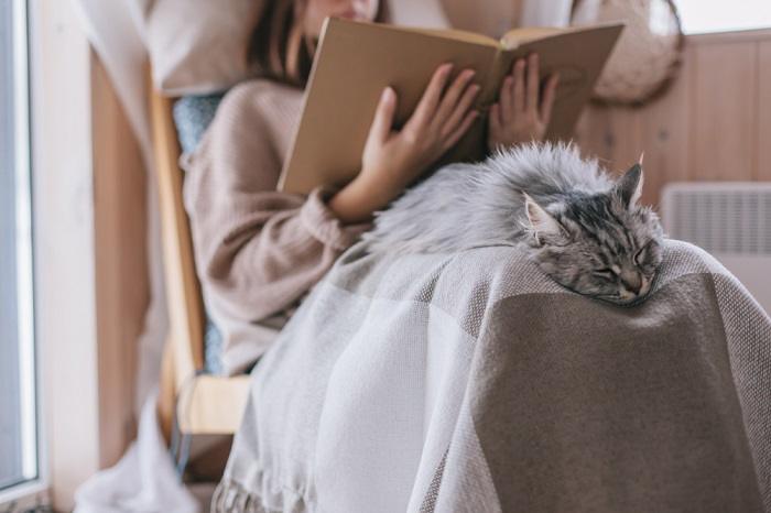 Une image représentant un moment émouvant entre un chat et un humain.