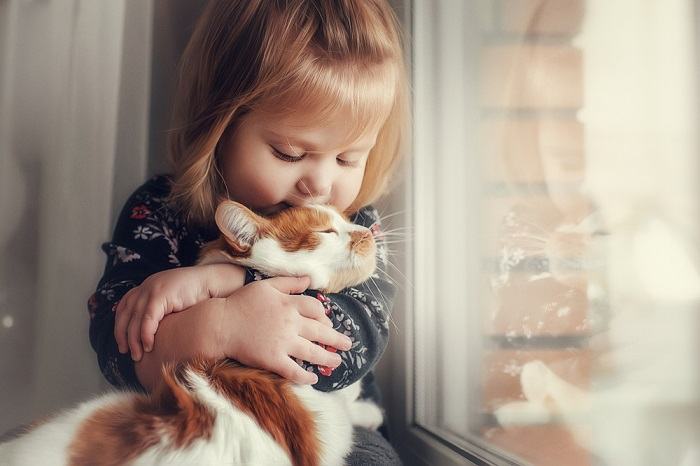 Un chat et un enfant ensemble, représentant une interaction réconfortante entre un compagnon félin et un jeune enfant.