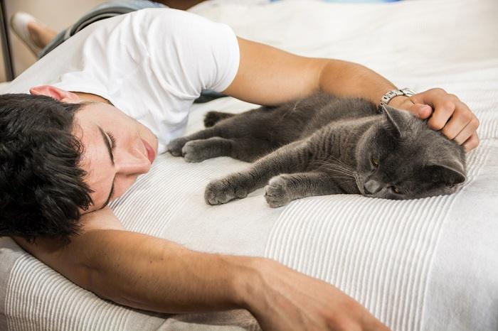 Homme allongé sur un lit avec un chat