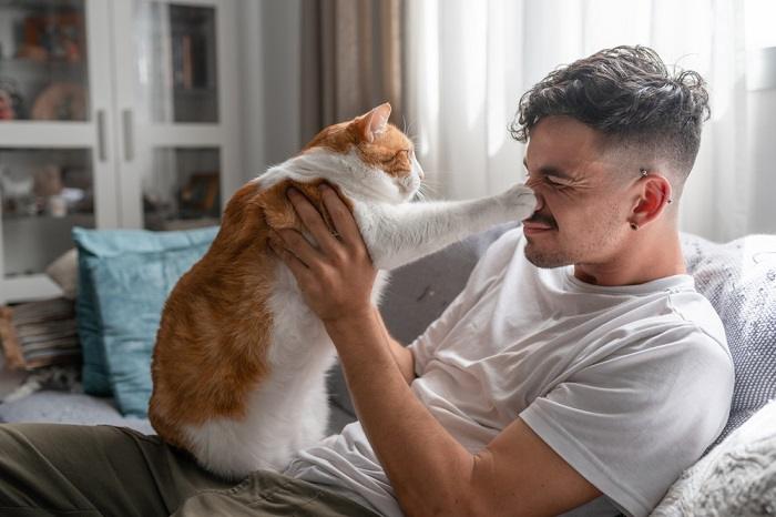 Image d'un chat interagissant avec un homme, illustrant une interaction délicieuse qui démontre la compagnie mutuelle et le plaisir qu'ils partagent.