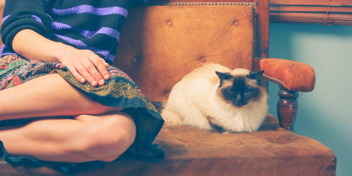 Une image représentant une femme interagissant avec un chat.