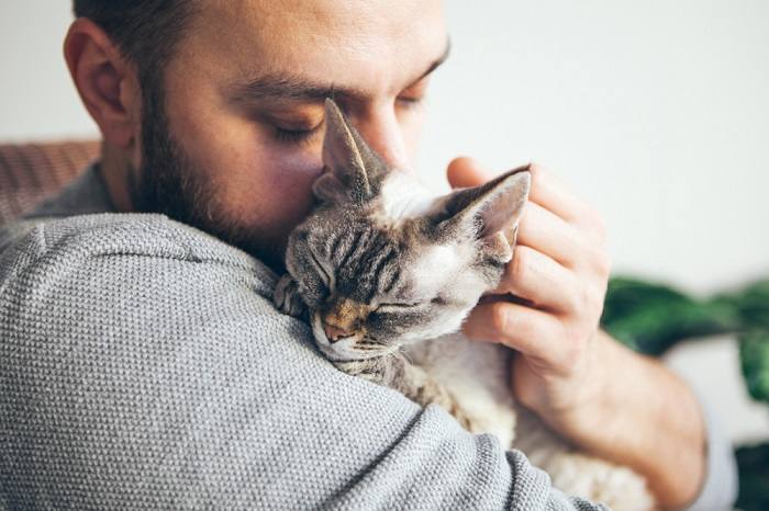 Un chat en détresse et souffrant, soulignant la nécessité de soins compatissants et d'une attention médicale pour les compagnons félins souffrant d'inconfort ou de détresse.