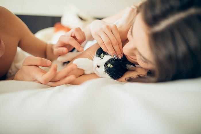 Couple en train de nouer des liens avec leur chat.