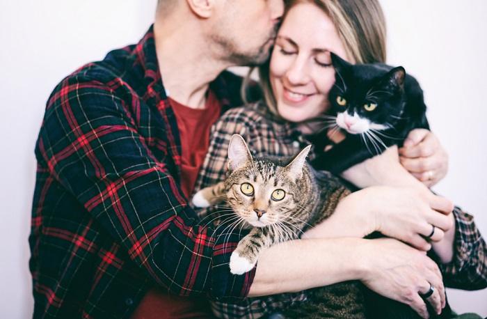 Image capturant un couple heureux entouré de leurs chats, illustrant l'amour partagé et l'épanouissement que plusieurs compagnons félins peuvent apporter à un foyer.