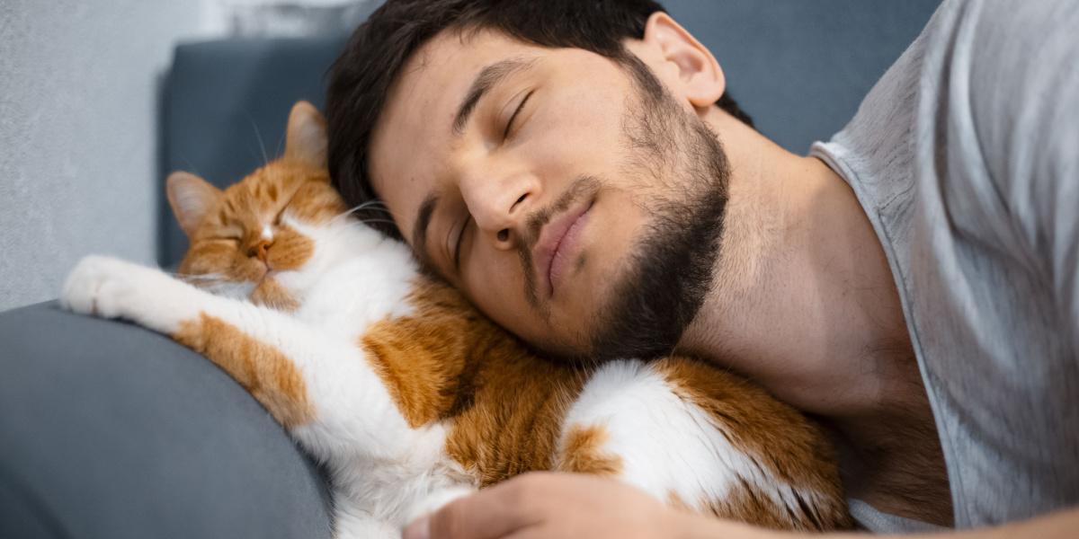 Moment émouvant entre un homme et son chat alors qu'ils partagent un câlin chaleureux.