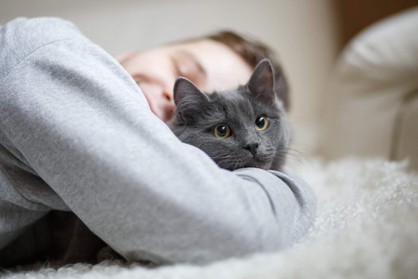 Un moment émouvant se déroule lorsqu'un homme serre affectueusement son chat dans ses bras pendant qu'ils se reposent tous les deux sur un lit.