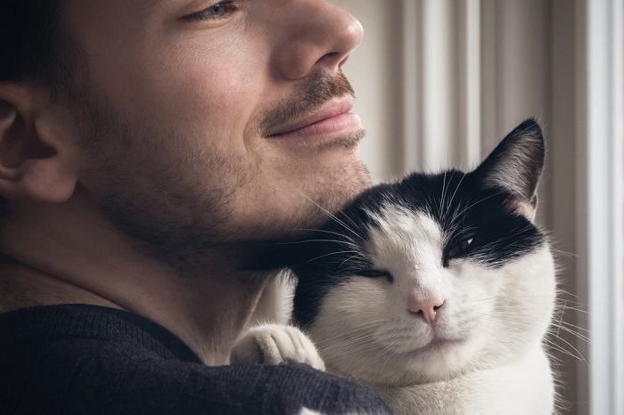 Une image d'un homme assis sur un canapé avec un chat satisfait reposant sur ses bras.