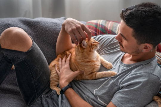12 signes d'un chat extrêmement heureux.