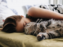 Woman bonding with a cat.