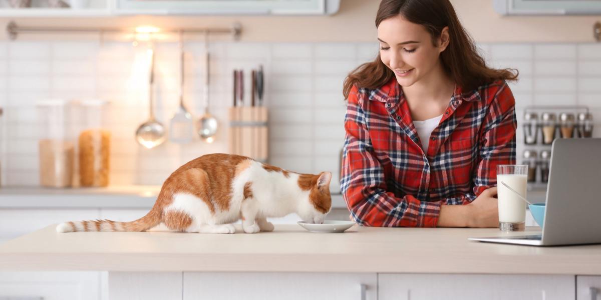 L'image représente un chat et une femme engagés dans une interaction au moment du repas, illustrant la camaraderie et le lien entre les humains et leurs compagnons félins.