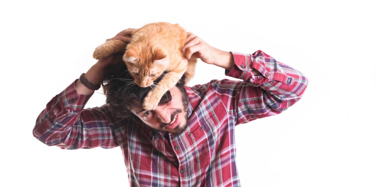 Image dynamique d'un chat en plein saut, mettant en valeur son agilité et son athlétisme impressionnants.