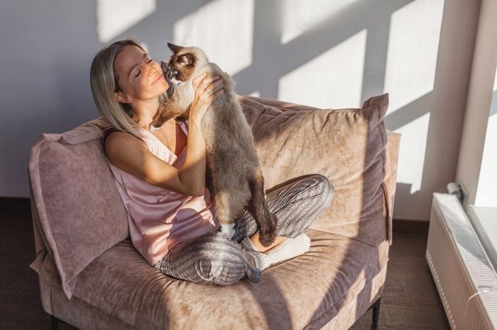 Un chat lèche tendrement la main de son propriétaire, illustrant un geste de proximité et de compagnie attachante.