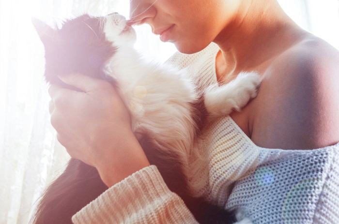 Image d'un chat léchant la joue d'une femme, montrant un geste d'affection et de compagnie féline.