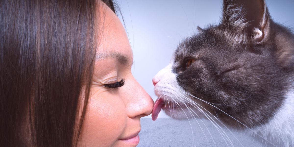 Un chat lèche affectueusement le nez d'une femme, démontrant ainsi un lien tendre et un comportement de toilettage.