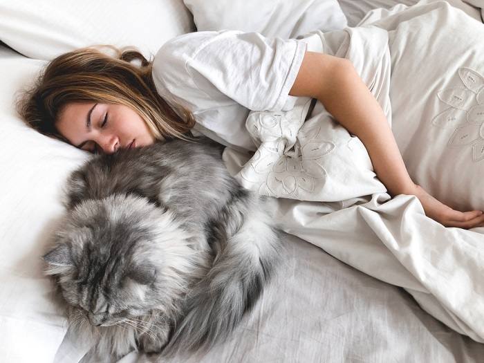 L'image capture une femme et son compagnon félin partageant un moment douillet sur un oreiller, soulignant leur lien et leur confort ensemble.