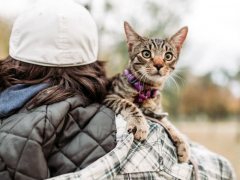 Image of a man carrying a calm and content-looking cat in his arms, both walking together against a scenic backdrop.