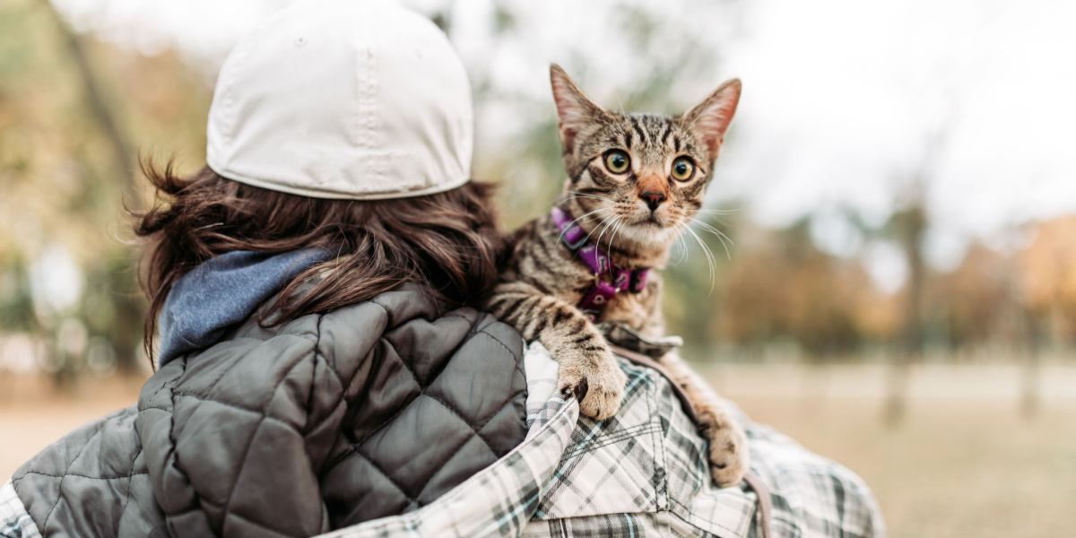 Image d'un homme portant un chat calme et satisfait dans ses bras, tous deux marchant ensemble dans un décor pittoresque.