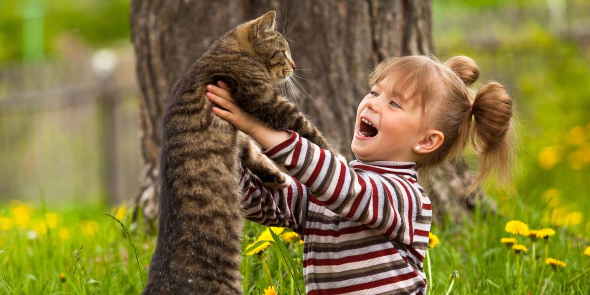 petite fille jouant avec un chat.