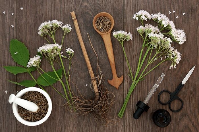 Une image présentant la racine de valériane séchée, couramment utilisée comme complément à base de plantes.