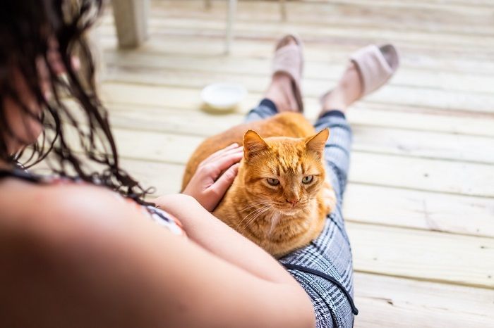 Jeune femme assise sur le sol, tenant un chat dans ses bras.