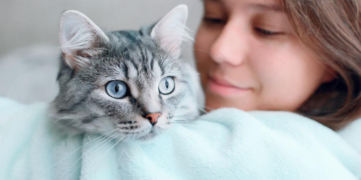 Chat et fille ensemble.