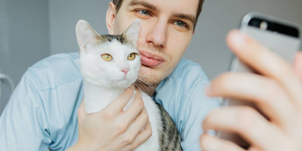 Chat et homme ensemble.