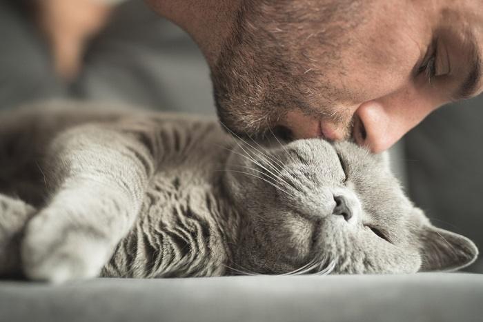 Une image attachante représentant un chat se livrant à un geste affectueux qui ressemble à un baiser.