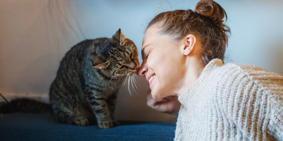 chat léchant une femme