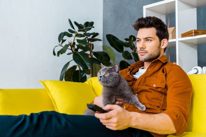 homme avec télécommande et chat gris