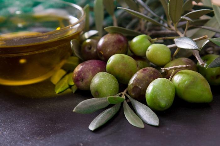 olives fruits et huile d'olive