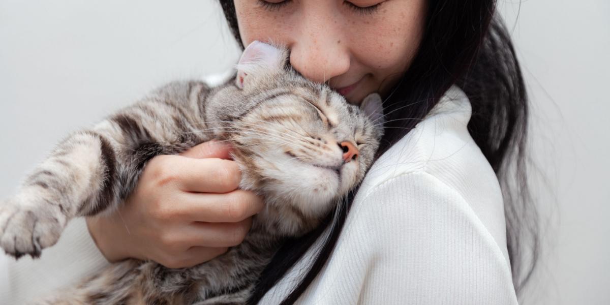 chat frottant sa tête sur une fille