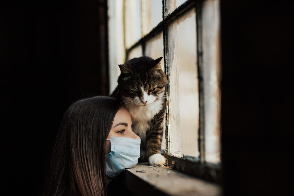 Une image représentant une fille avec son chat triste mais adorable.