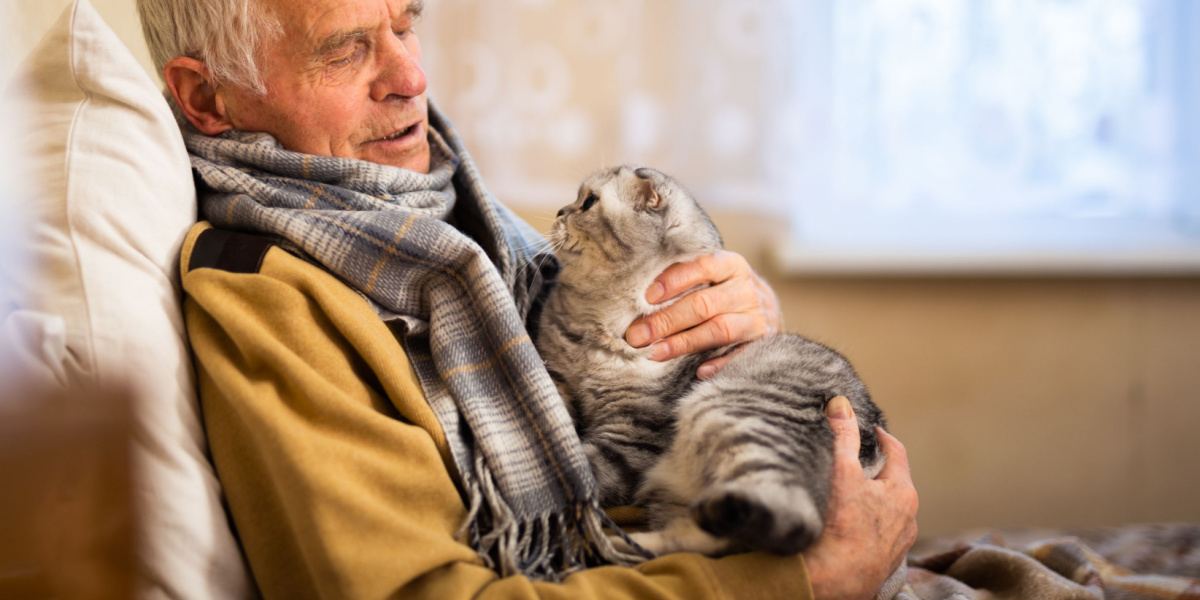 Une image mettant en scène un homme âgé aux cheveux gris dans un pull confortable tenant un chat Scottish Fold.